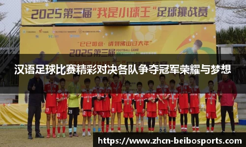 汉语足球比赛精彩对决各队争夺冠军荣耀与梦想