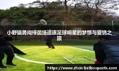 小野猫勇闯绿茵场追逐足球明星的梦想与爱情之旅