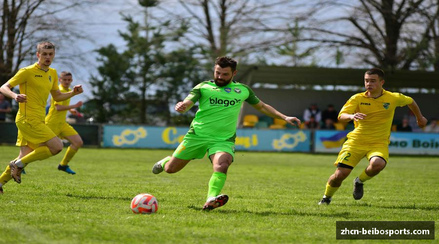 综述贝博体育网站